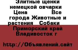 Элитные щенки немецкой овчарки › Цена ­ 30 000 - Все города Животные и растения » Собаки   . Приморский край,Владивосток г.